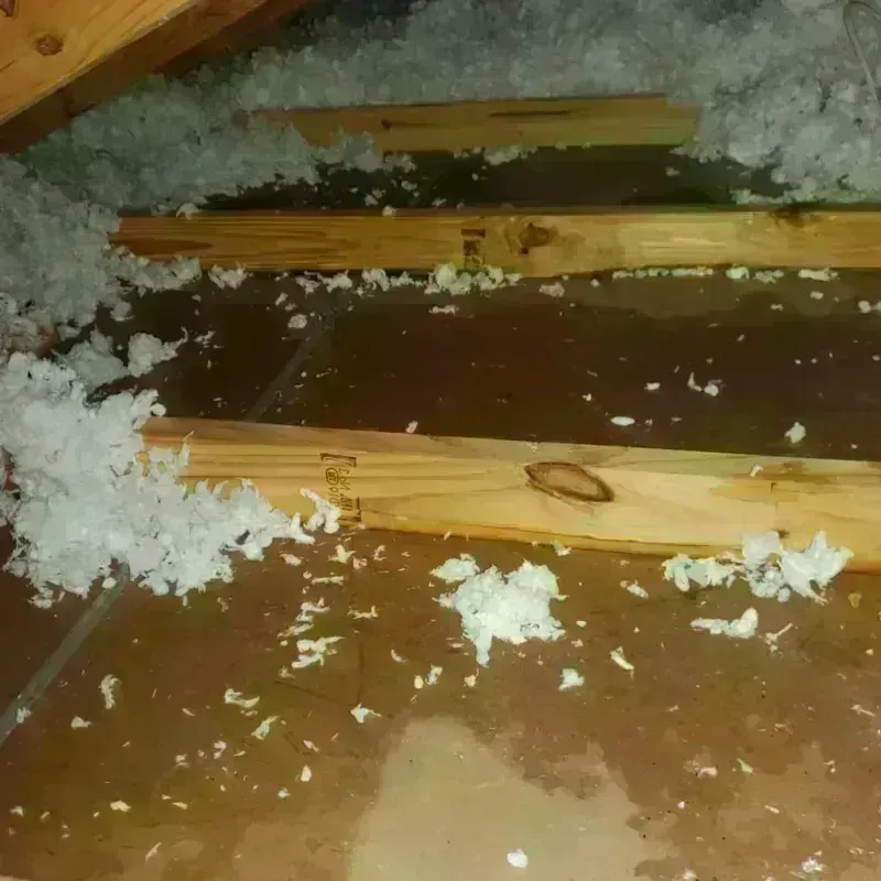 Attic Water Damage in Marietta, OH