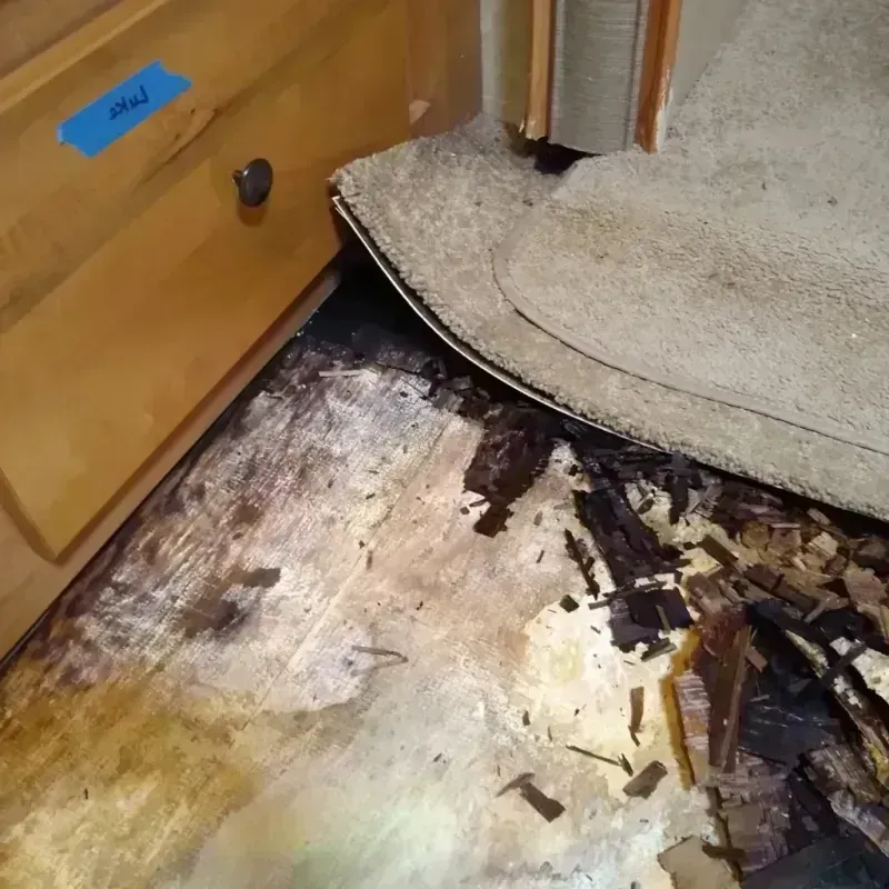 Wood Floor Water Damage in Marietta, OH